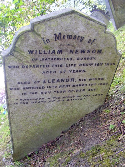 William Newsom FOSTER History & Collective Memory